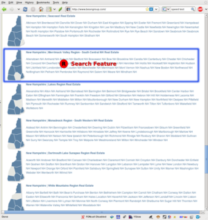 2010.02.02.bg.com.homepage04.png.png