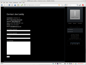 2010.02.03.luxury.contact01.png