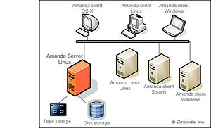 Chart-amanda-network-no-brd.jpg