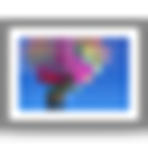 Folder-image.svg