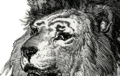 Thumbnail for version as of 20:20, 30 November 2018