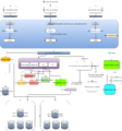 Thumbnail for version as of 11:50, 1 July 2017