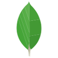 Thumbnail for version as of 14:49, 8 April 2025