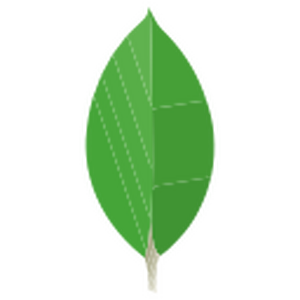 MongoDB.svg