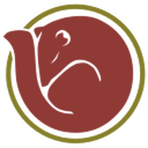 NHibernate.svg