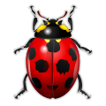 Thumbnail for version as of 08:08, 10 October 2008
